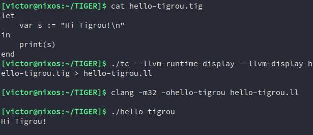 Instruction to compile and run an Hello World program